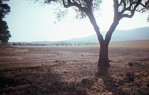 LE KHAR OU LA MONTAGNE DES LIONS (10)